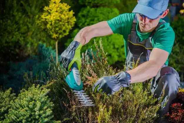 landscaping services Montrose-Ghent